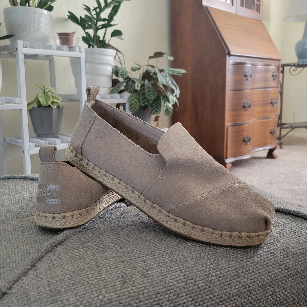NWOT Suede Toms